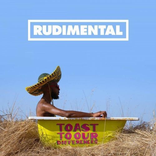 Rudimental Toast To Our Differences (Vinyl LP)