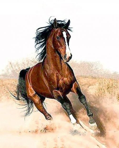 Gaira Galloping Horse M1182