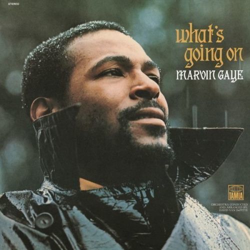 Marvin Gaye What's Going On (Vinyl LP)