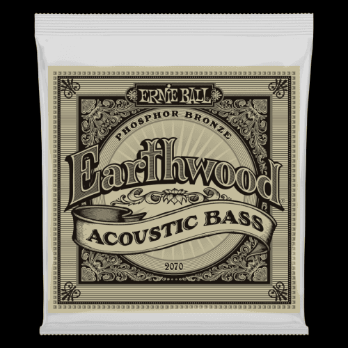 Ernie Ball 2070 Earthwood Acoustic Bass