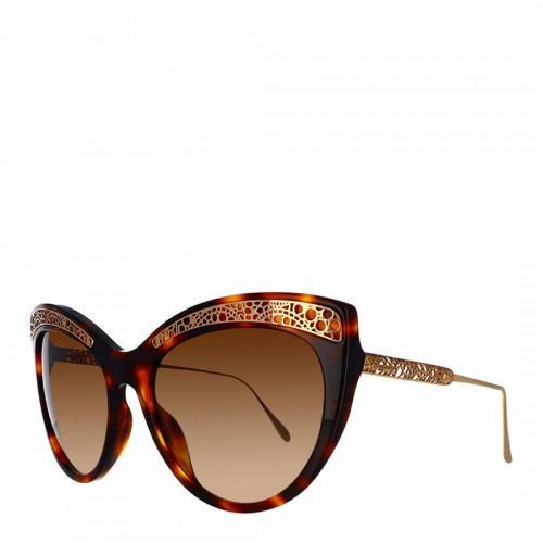 Women's Havana and Gold Chopard Sunglasses 56mm