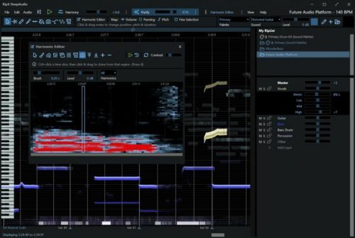 Hit'n'Mix RipX: DeepAudio (Digital product)