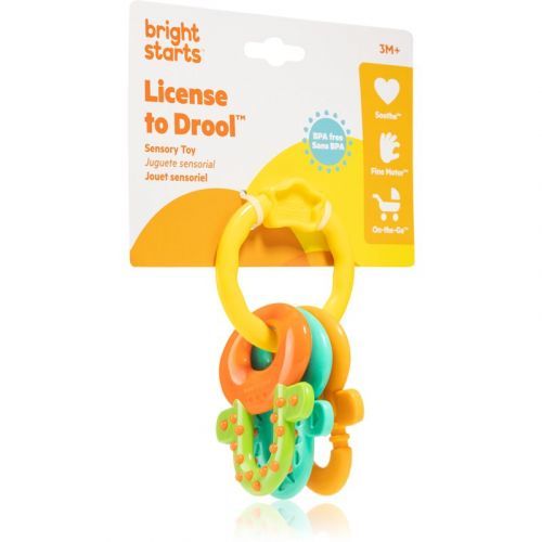 Bright Starts Teether & Rattle rattle with biting part 3m+ 1 pc