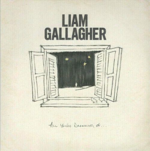 Liam Gallagher All You'Re Dreaming Of (LP) Single