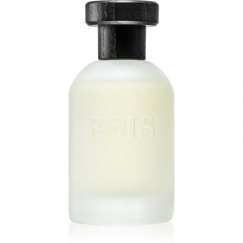 Bois 1920 Vetiver Ambrato Eau de Parfum Unisex 100 ml