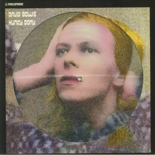David Bowie Hunky Dory (Picture Disc) (LP)