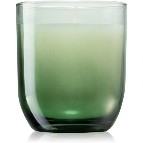 Paddywax Enneagram Achiever (Tobacco + Patchouli) scented candle 141 g