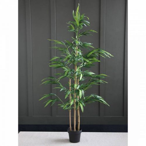 Bamboo 180cm