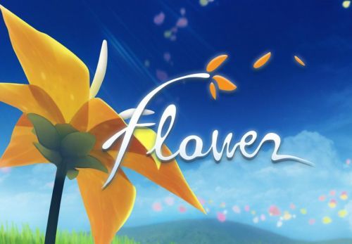 Flower Steam CD Key