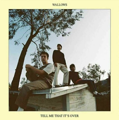 Wallows Tell Me That It's Over (LP)
