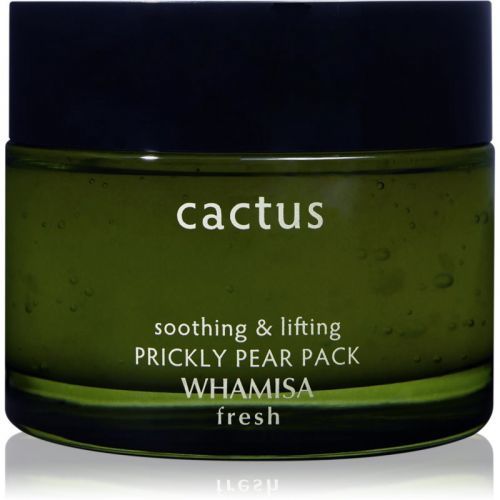 WHAMISA Cactus Prickly Pear Pack Hydrating Gel Mask Intensive Restoration And Skin Stretching 100 g