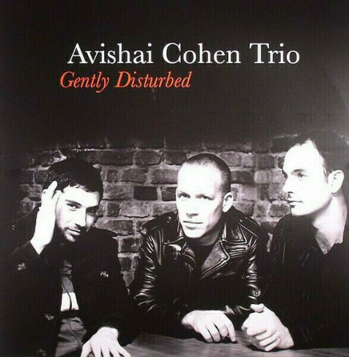 Avishai Cohen Gently Disturbed (LP)