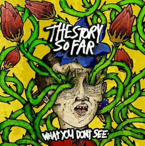 The Story So Far - What You Don't See - Vinyl
