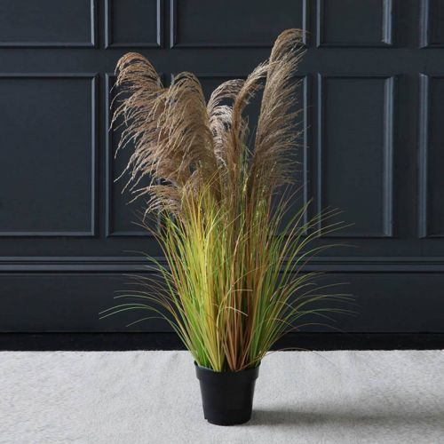 Light Brown Feathery Potted Pampas 130cm