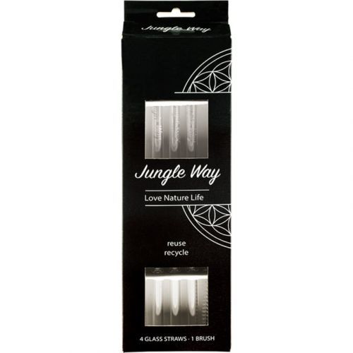 Jungle Way Glass straws with brush Set (for Everyday Use)