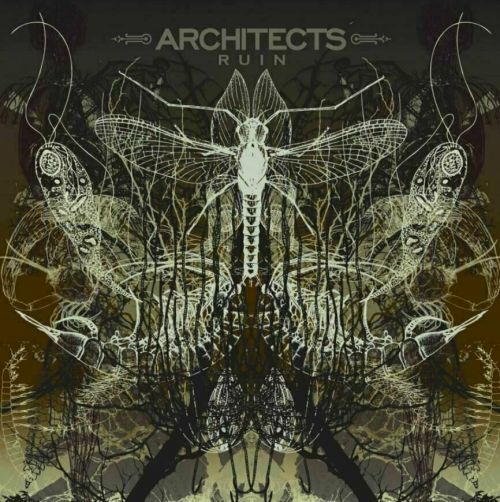 Architects Ruin (LP) Reissue