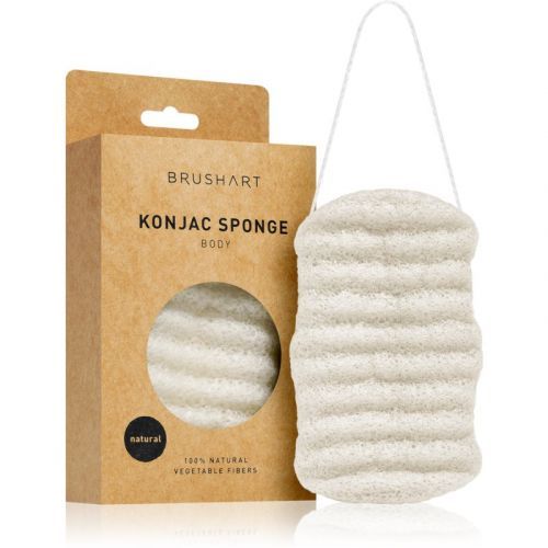 BrushArt Accessories Body konjac sponge Gentle Exfoliating Sponge for Body