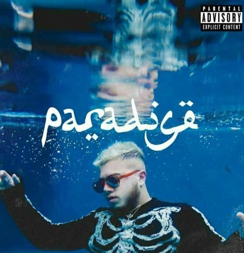 Hamza Paradise (2 LP)