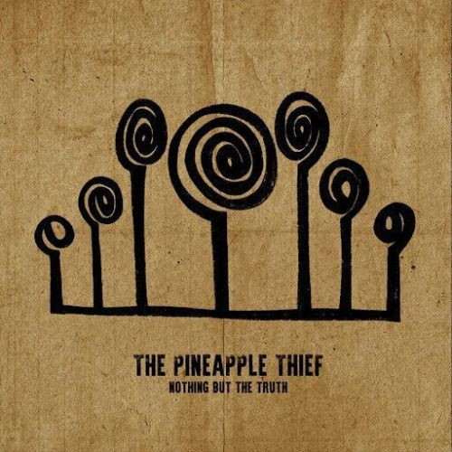 The Pineapple Thief Nothing But The Truth (2 LP) Stereo