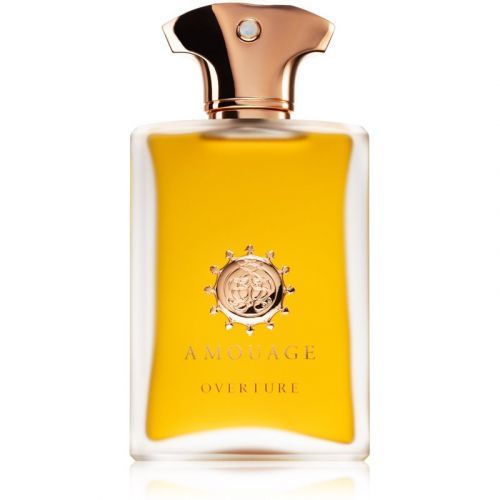 Amouage Overture Eau de Parfum for Men 100 ml