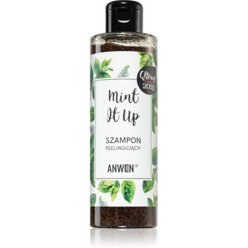 Anwen Mint It Up exfoliating shampoo 200 ml
