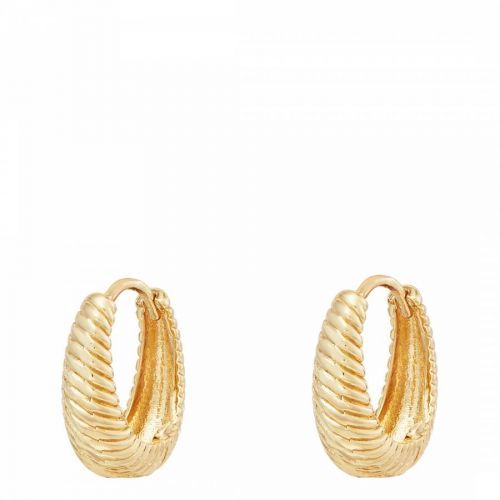 Aral 18K Gold Plated Earrings