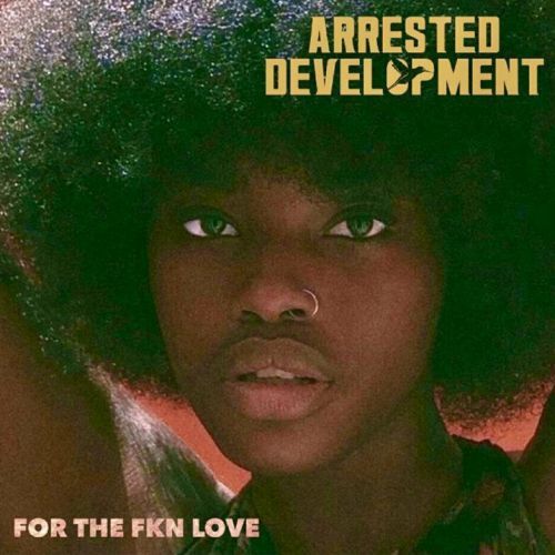 Arrested Development For The Fkn Love (2 LP)