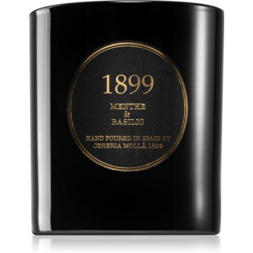 Cereria Mollá Premium Menthe & Basili scented candle 230 g