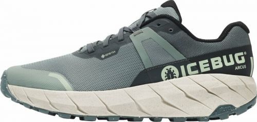 Icebug Womens Outdoor Shoes Arcus RB9X GTX Womens Shoes Green/Stone 40