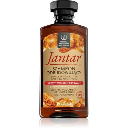 Farmona Jantar High Porosity Hair Nourishing Shampoo for Shiny and Soft Hair 330 ml
