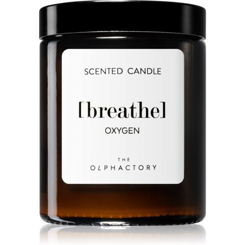Ambientair Olphactory Oxygen scented candle (brown) Breathe 135 g