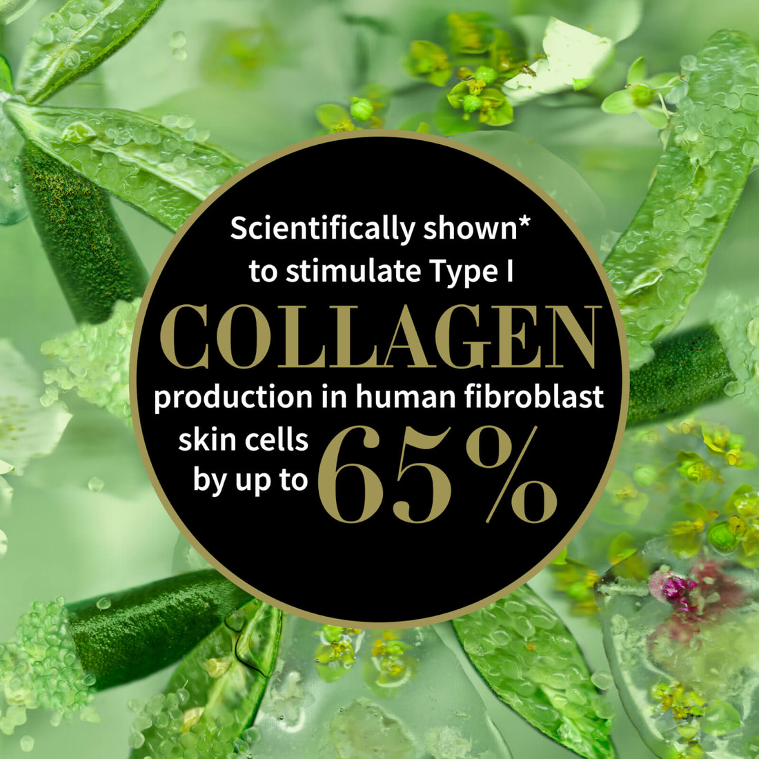 Lime Caviar Collagen-Rich Firming Day Cream 60ml
