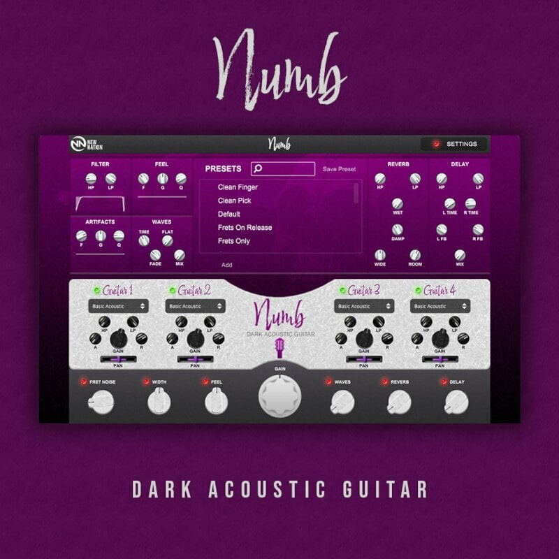 New Nation Numb - Dark Acoustic Guitar (Digital product)