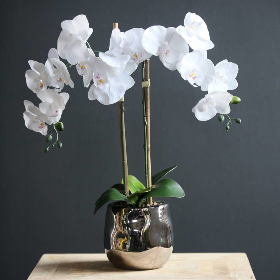 Real Touch Orchid In Silver Pot 54cm