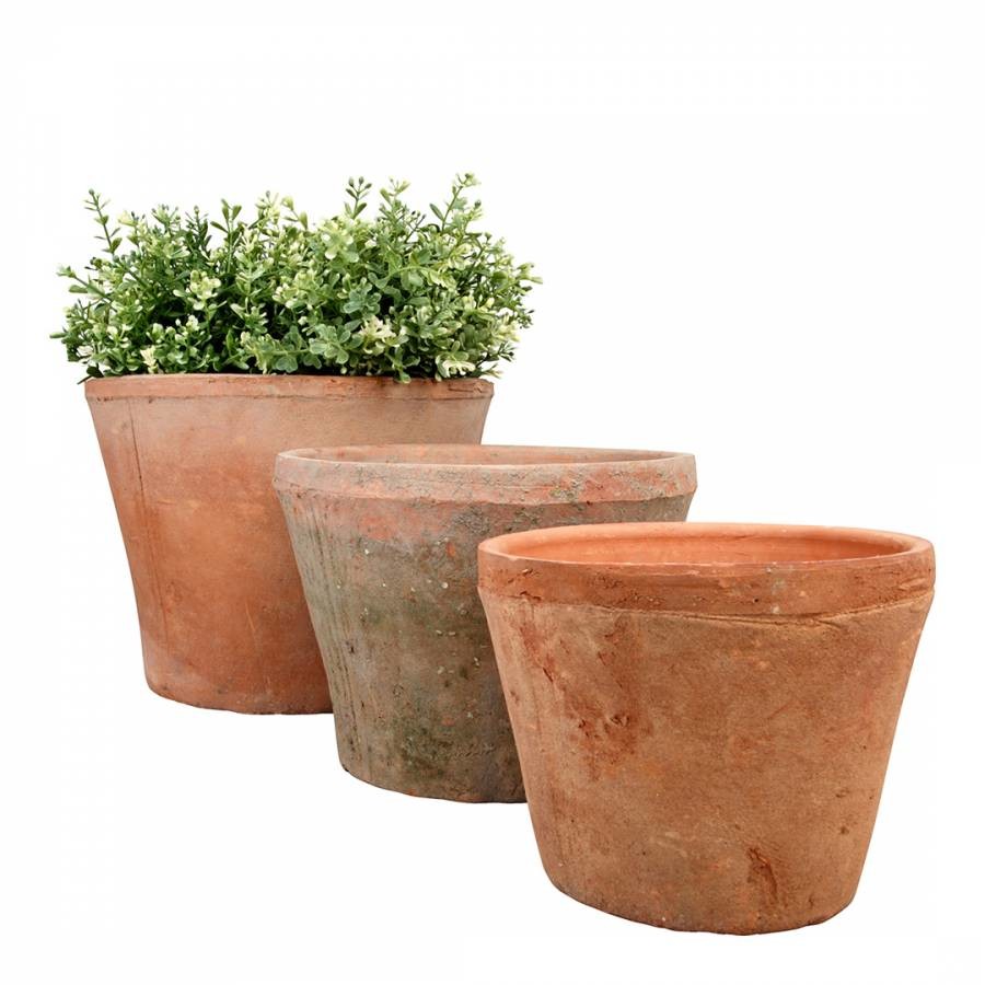 Set of 3 Large Terracotta Pots