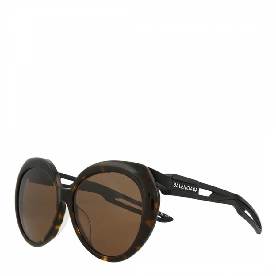 Women's Havana Brown Balenciaga Sunglasses 56mm