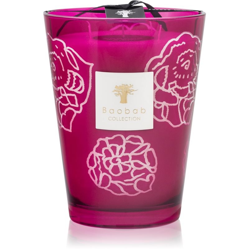 Baobab Collectible Roses Burgundy scented candle 24 cm