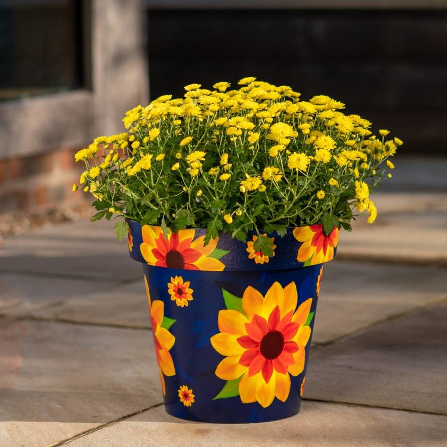 30cm Zest Pot - Sunflower