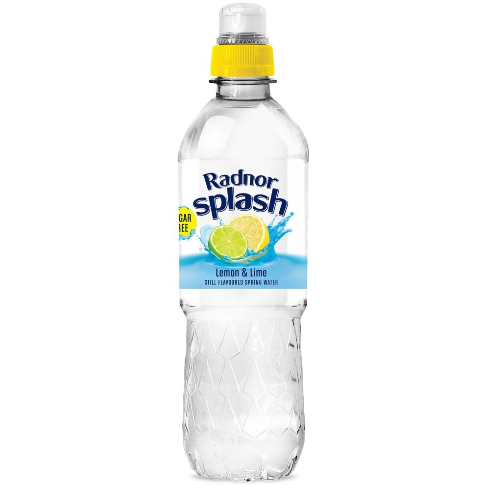 Radnor Splash Lemon and Lime Flavoured Water - 24x500ml