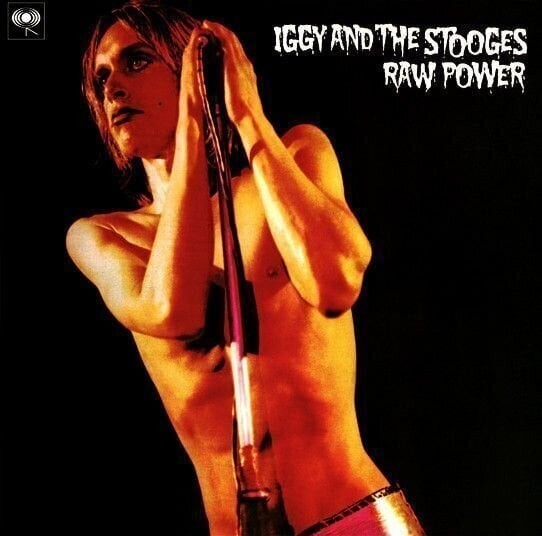 The Stooges - Raw Power - Vinyl