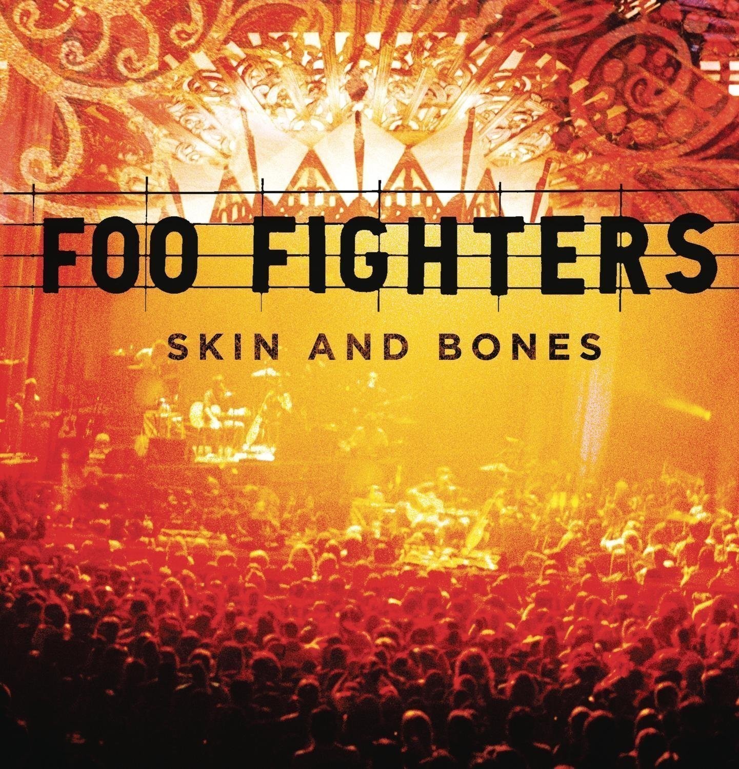 Foo Fighters Skin & Bones (2 LP)