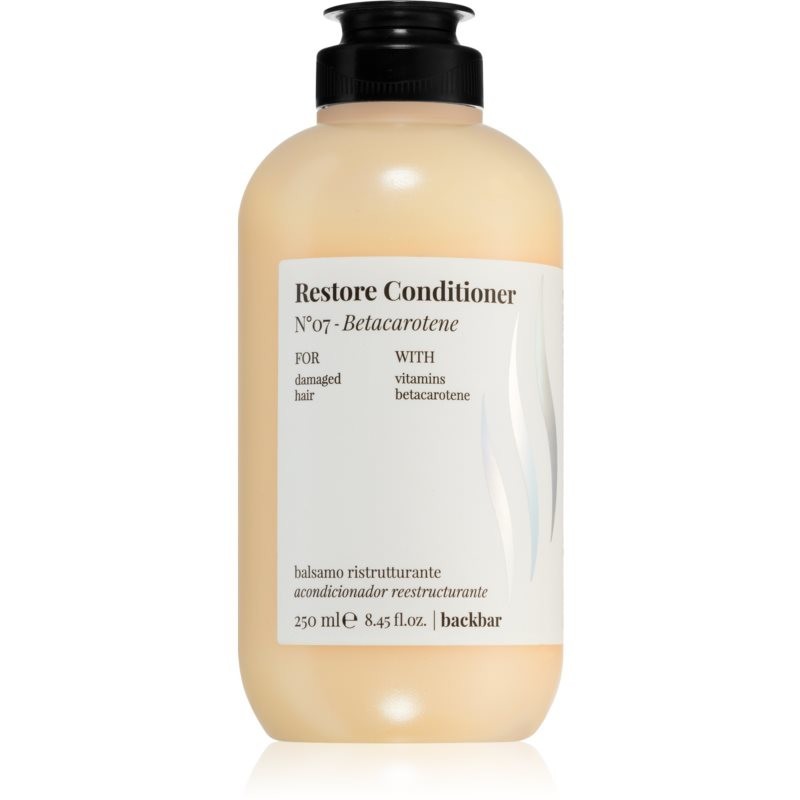 FarmaVita Backbar Restore intensive regenerating conditioner for dry and damaged hair 250 ml