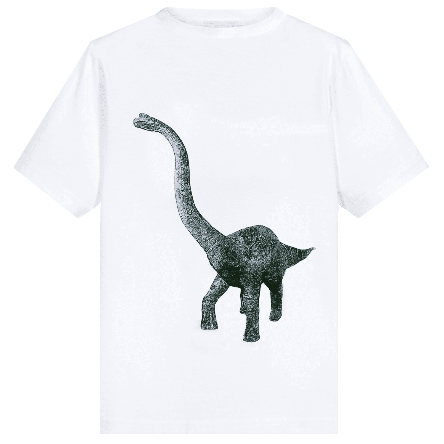 Lanvin Boys Dinosaur T-shirt White 14Y
