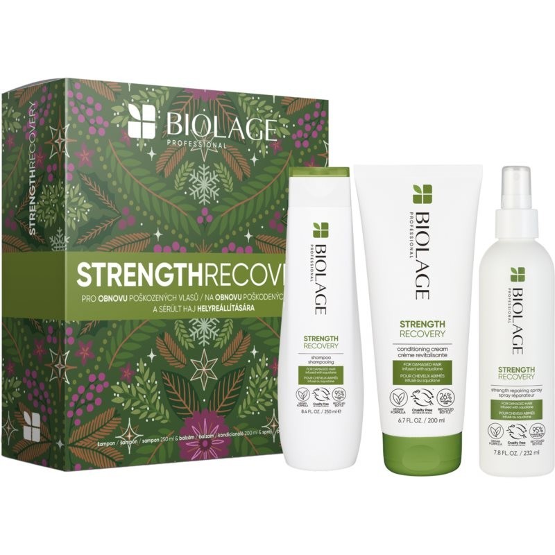 Biolage Strength Recovery Strenght Recovery gift set (for damaged hair)