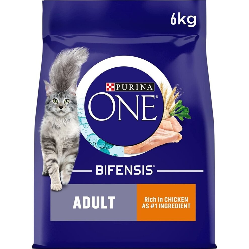 Purina ONE Adult Dry Cat Food Rich in Chicken 6kg,package may vary