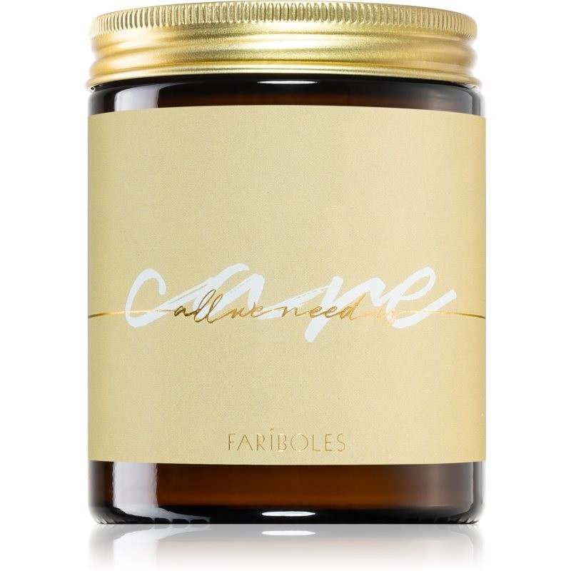 FARIBOLES All We Need Is Care scented candle 140 g