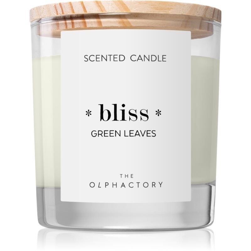 Ambientair The Olphactory Green Leaves scented candle Bliss 200 g