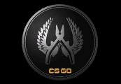 CS:GO - Series 1 - Guardian Elite Collectible Pin