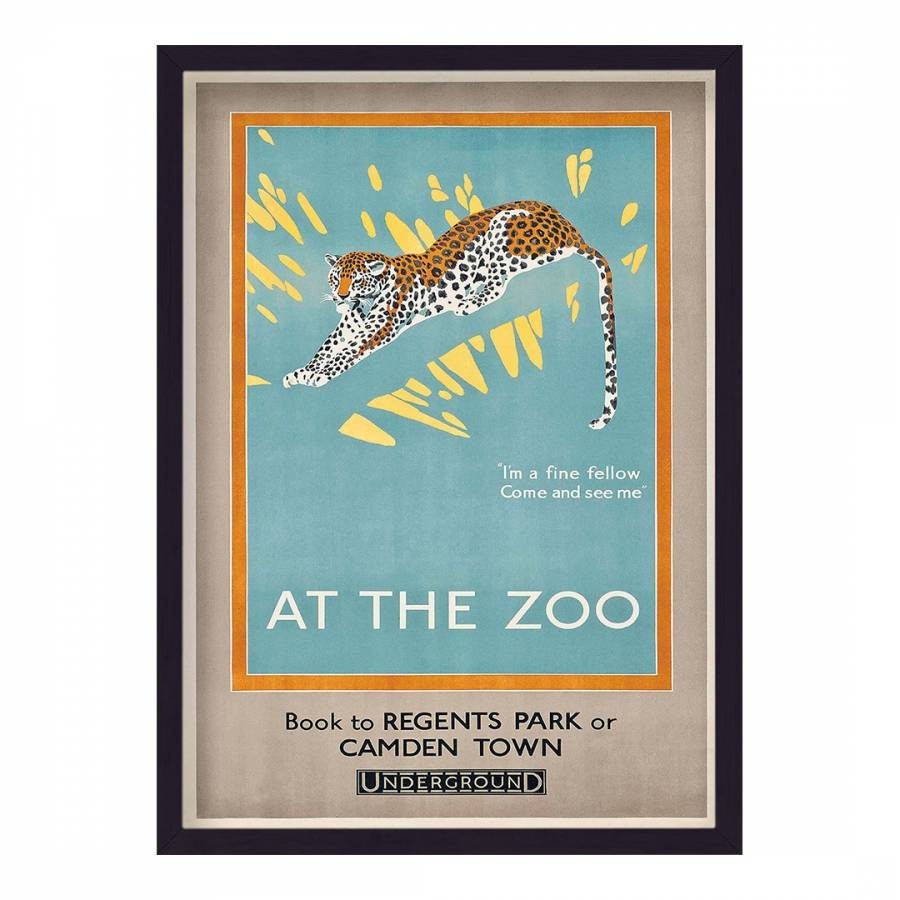 London Underground At The Zoo Regents Park 44x33cm Framed Print