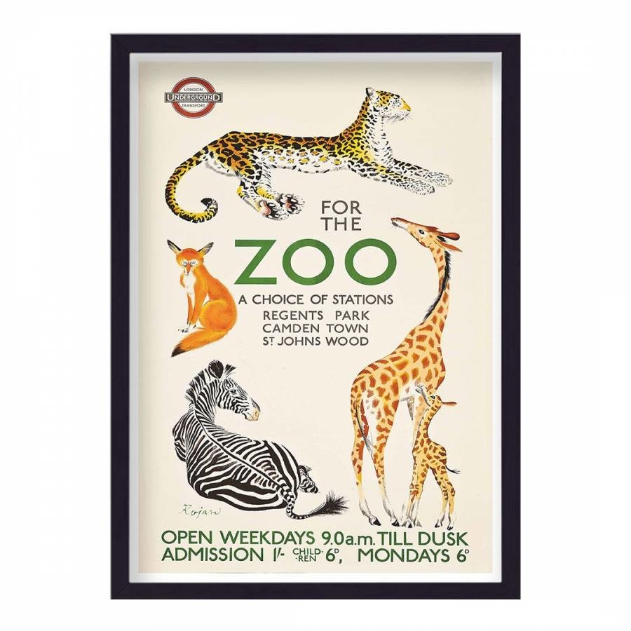 Vintage London Transport For The Zoo No2 Print 44x33cm Framed Print